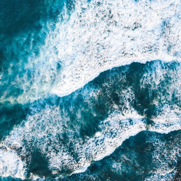 Meet your Posher, Anijah - Picture 1 of 1